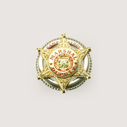 metal pin and badge