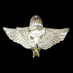 military pins