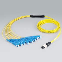 mpo fan-out patchcord 