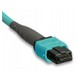 MTP Patch Cords