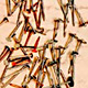 Nail Making Producing Lines