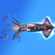 neon flying squid 