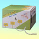 Network Cables