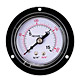 normal pressure gauges 
