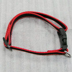 nylon dog collar 