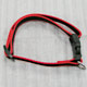 Nylon Dog Collars