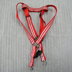nylon dog leashes and harness 