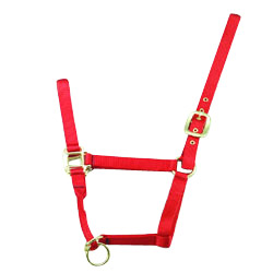 nylon halter lead 