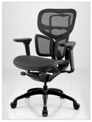 Office Chairs