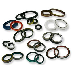 oil seals