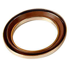 oil seal 