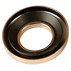 oil seal