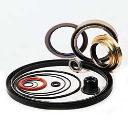 oil seals