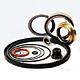 oil seals 