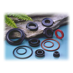 oil seals