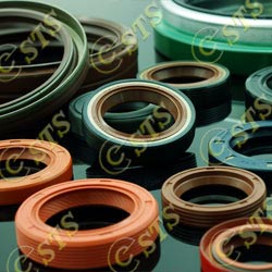 oil seals