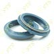 oil seals 