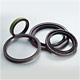 Oil Seals