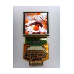 oled-display-modules