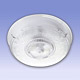 Wall Mounted Lighting Lights