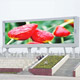 outdoor full color displays 