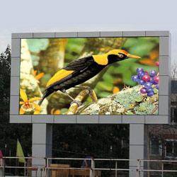 outdoor full color led display