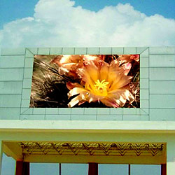 outdoor full color led display