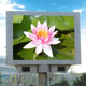 outdoor full color led display 