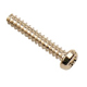 P Head Screws