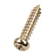 p head screw 