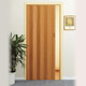 panel style folding door 