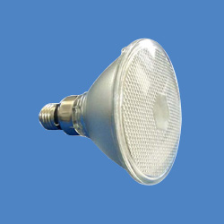 par 38 shoot lamps