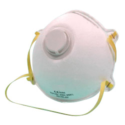 particulate mask 