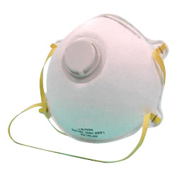 particulate mask 