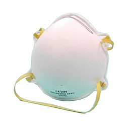 particulate mask 