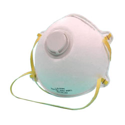 particulate mask 