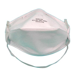 particulate mask 