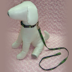 pet collar leash