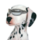 Pet Goggles  ( Pet Products Supplies)
