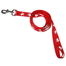 pet leash