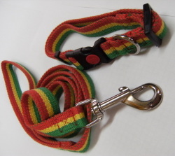 pet leashes and collars 