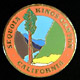 Photo Etched Lapel Pins
