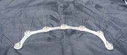 pigeon spikes