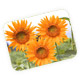 Placemat image