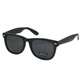 plastic frame sunglasses 