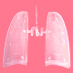 Plastic Moldings (Auto Parts)