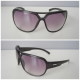 Plastic Sunglasses