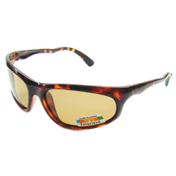 polarized sunglasses