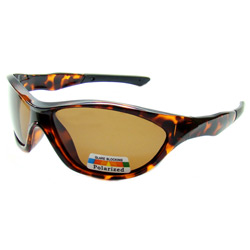 polarized sunglasses