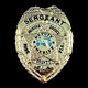 Metal Badges image